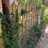 اجاره ویلا باغ|اجارهٔ کوتاه‌مدت ویلا و باغ|یاسوج, |دیوار