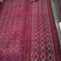 قالیچه دستباف نو|فرش|تربتحیدریه, مظفریه|دیوار