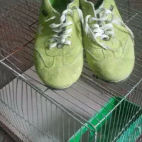 کفش آدیداس اوریجینال