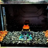 آکواریوم و لوازم