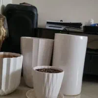 گلدان|گل و گیاه طبیعی|تهران, شهرک فردوس (حسینی)|دیوار