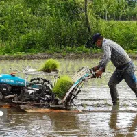 فروش ۲۰ کیلو قیمت ۶۰۰۰۰۰۰ میلیون تومان|خوردنی و آشامیدنی|رشت, آزادگان|دیوار