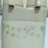فلاکس دوقلو
