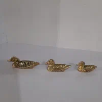 مرغابی برنز