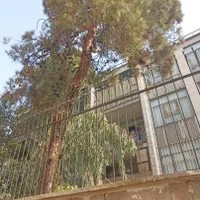 خانه کلنگی|فروش خانه و ویلا|تهران, منیریه|دیوار
