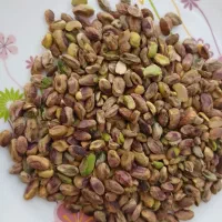 مغز پسته خام
