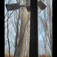 دوربین مداربسته لوکس .طراحی .فروش . نصب|دوربین مداربسته|میاندوآب, |دیوار