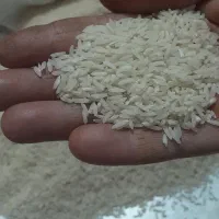 برنج دومسیاه|خوردنی و آشامیدنی|چگنی, |دیوار