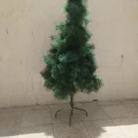 درخت کاج کریسمس