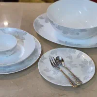 سرویس غذا خوری ارکوپال ایرانی
