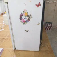 فریزر آزمایش سالم ،روشن