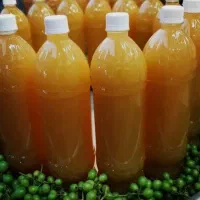 فروش آبغوره تازه و ارگانیک