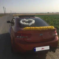 فروش معاوضه سراتو کوپه وارداتی مسی (گرمدره کرج)|خودرو سواری و وانت|تهران, وردآورد|دیوار