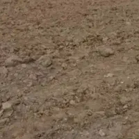 زمین-فروشی