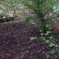 فروش ویلا با زمین ۲۵۰متری از املاک ابوالفضل بخرید