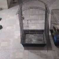 قفس پرنده