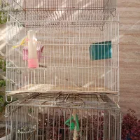 قفس|لوازم جانبی حیوانات|شیراز, کوزه گری|دیوار