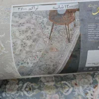 پنج تخته فرش،9 متری|فرش|هشتگرد, هشتگرد قدیم|دیوار