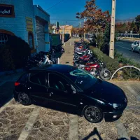 ۲۰۶ پنوماتیک