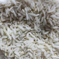 برنج محلی سالم و نیمدانه علی کاظمی برداشت امسال