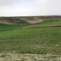 زمین بر جاده آسفالت