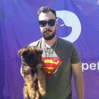 ژرمن شپرد کینگ موبلند بلک فیس|سگ|تهران, جنت‌آباد مرکزی|دیوار