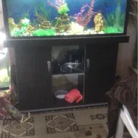 اکواریوم با پایه و کمد ام دی اف|ماهی|مشهد, ادیب نیشابوری (شهرک غرب)|دیوار