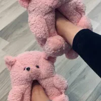 پاپوش پولیشی و خرسی