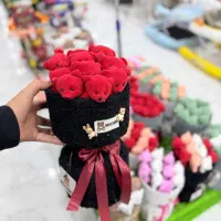 بوکت تدی ۱۰ عددی|اسباب و اثاث بچه|آفتاب, |دیوار