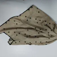 قواره متوسط|لباس|یزد, |دیوار