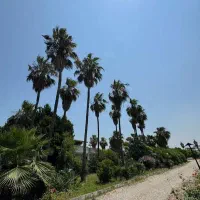 فروش زمین مسکونی شهرکی 600 متر در ماه فروز محله