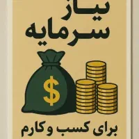 نیازمند شریک کاری یا سرمایه گذار