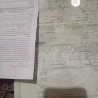 برک سبز موتور پیدا شده