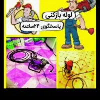 لوله بازکنی تخصص ارزن فوری بدون کثیف کاری ضمانت|خدمات پیشه و مهارت|تربت جام, والفجر|دیوار
