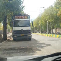 خرید چوب باغی|خدمات باغبانی و درختکاری|شیراز, گویم|دیوار