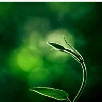 کمپ ترک اعتیاد سلامت(۲۴ساعته آماده پذیرش)