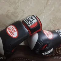 دستکش بوکس چرم استفاده نشده|تجهیزات ورزشی|گرگان, |دیوار