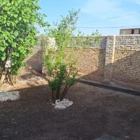 فروش خانه|فروش خانه و ویلا|تربتحیدریه, کاشانی|دیوار