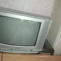 تلویزیون