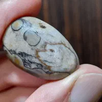 سنگ های عتیقه مصور کلکسیونی|کلکسیون اشیاء عتیقه|تهران, منیریه|دیوار