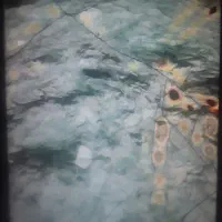 ضعایات|عمدهفروشی|رشت, جانبازان|دیوار