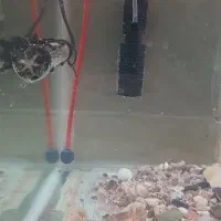 اکواریوم شیشه خم|ماهی|تفرش, |دیوار