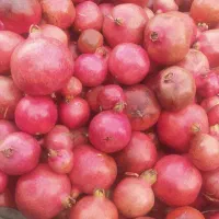 انار درجه یک