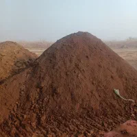 کود گاوی درجه یک گونی هم   فروحته میشود