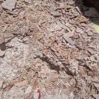 نان خشک فروشی نداریم|لوازم جانبی حیوانات|تهران, آهنگ|دیوار