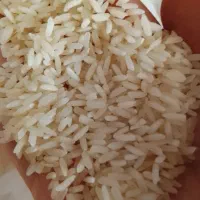 برنج عنبر بو خوزستانی