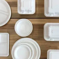 ظروف یکبار مصرف کاغذی