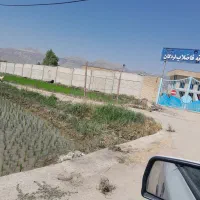 زمین-برنج-کار