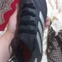 فروش کفش ورزشی|کیف، کفش، کمربند|نورآباد ممسنی, |دیوار