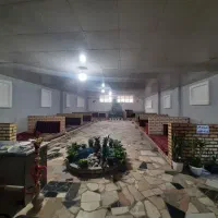 زیرزمین توس33کشف